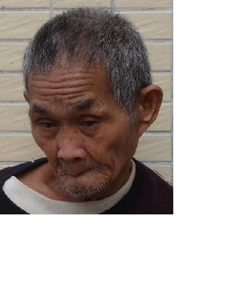 流浪人员惠救54/522/HA6照片，让爱回家