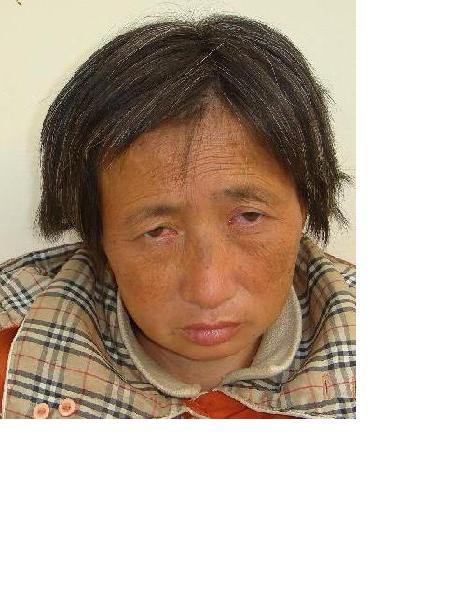 流浪人员党保真照片，让爱回家