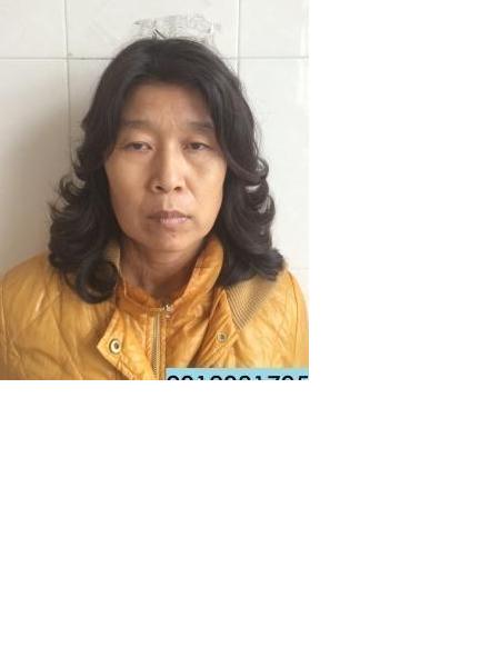 流浪人员无名氏照片，让爱回家