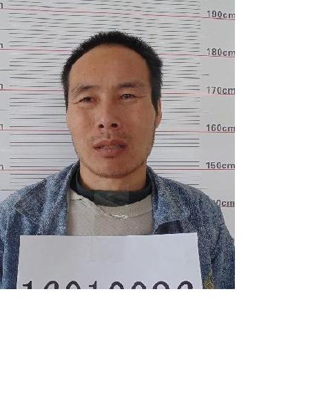 流浪人员无名氏照片，让爱回家