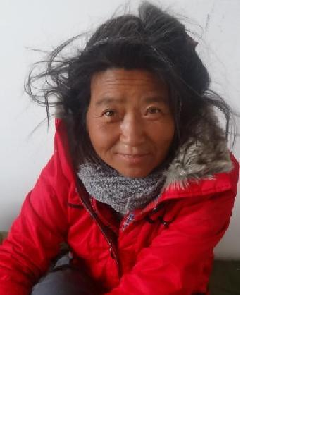 流浪人员安民兰照片，让爱回家