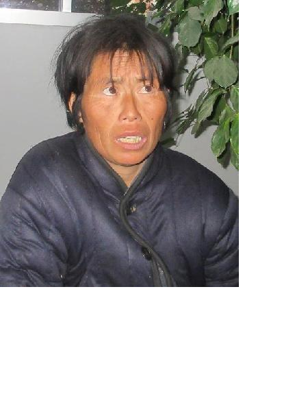 流浪人员助路西照片，让爱回家