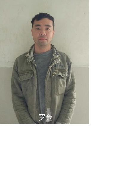 流浪人员罗金照片，让爱回家