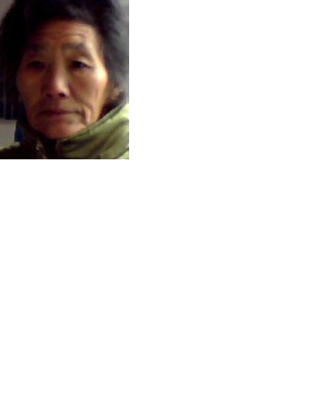 流浪人员党屈词照片，让爱回家