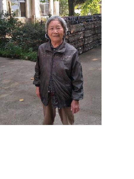 流浪人员流浪3照片，让爱回家