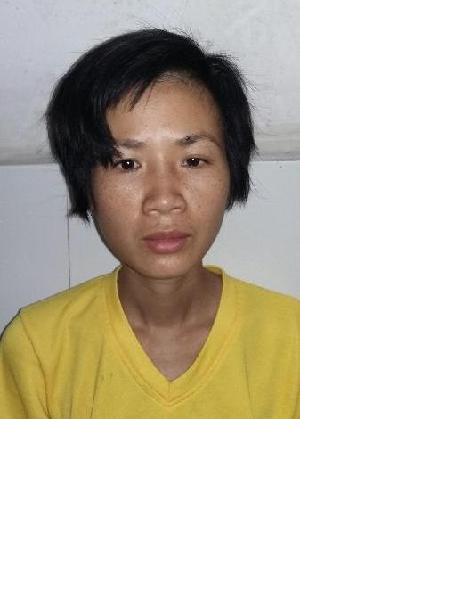 流浪人员端流66照片，让爱回家