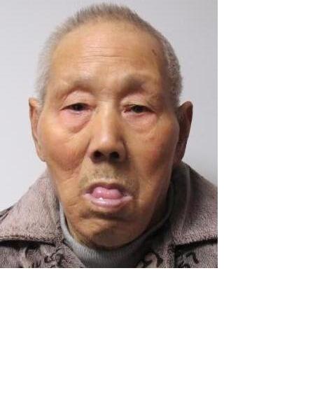 流浪人员东钱湖1号照片，让爱回家