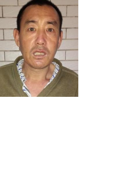 流浪人员高无名氏49照片，让爱回家