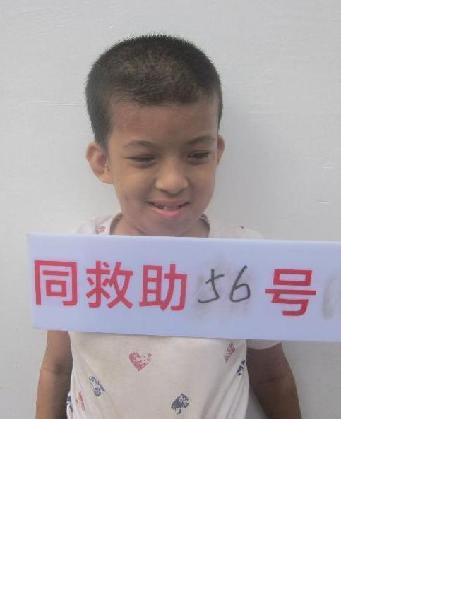 流浪人员同救助56号 救助春照片，让爱回家