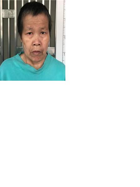 流浪人员石岐397照片，让爱回家