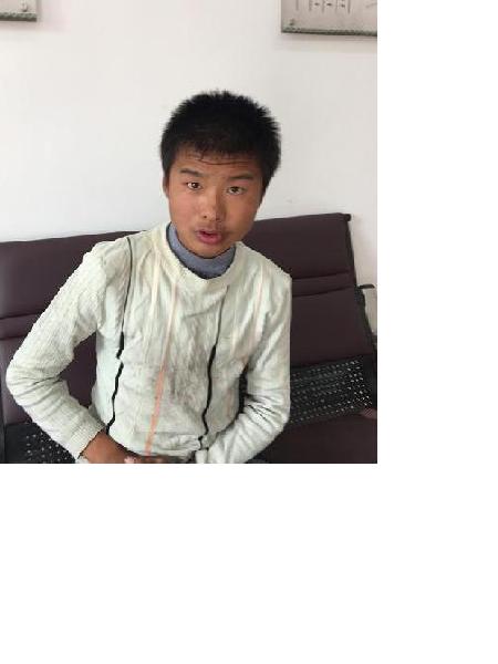 流浪人员梅救10照片，让爱回家