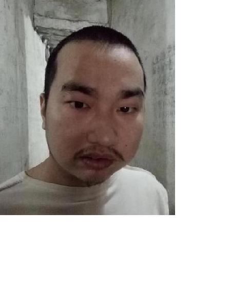 流浪人员无名氏照片，让爱回家