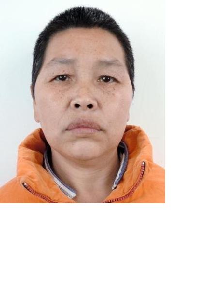 流浪人员农所照片，让爱回家