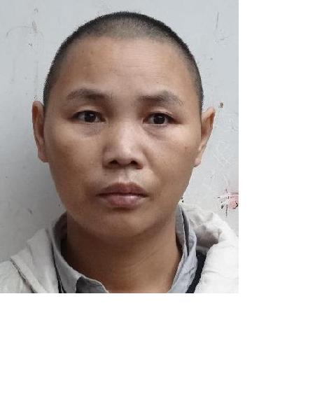 失踪人员兰兰照片，让爱回家