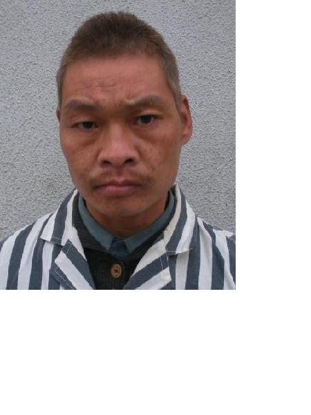 流浪人员顺救62照片，让爱回家