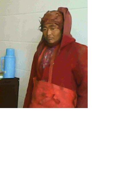 流浪人员无名氏照片，让爱回家
