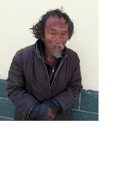 流浪人员鹿救5照片，让爱回家