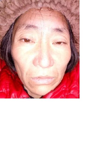 流浪人员闽女乌照片，让爱回家