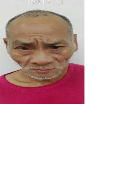 流浪人员南吕15照片，让爱回家