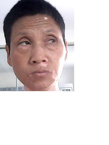 流浪人员党花照片，让爱回家