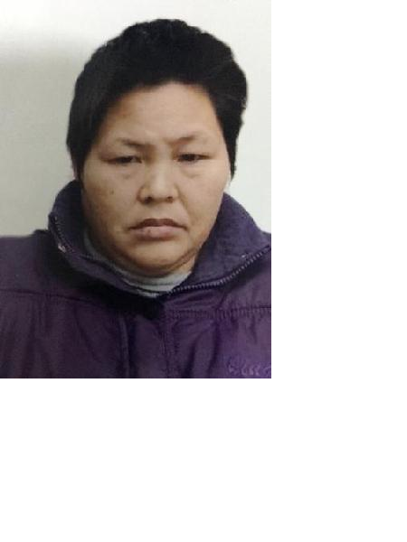 流浪人员杨露照片，让爱回家