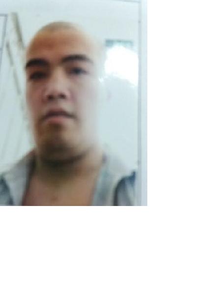 流浪人员大埔23照片，让爱回家
