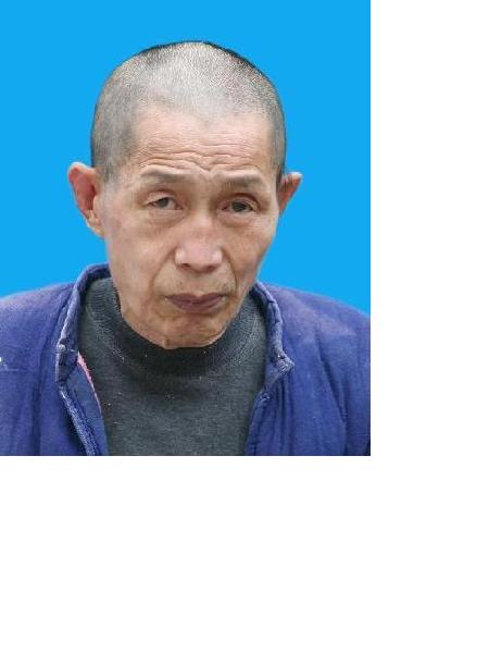 流浪人员流浪者10照片，让爱回家