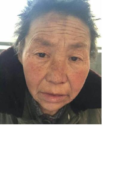 流浪人员灵助4照片，让爱回家