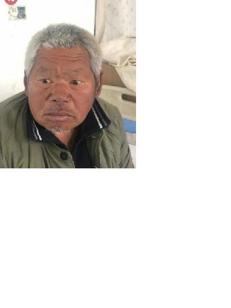 流浪人员党魏湾照片，让爱回家