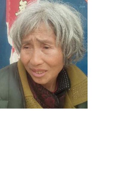 流浪人员160411照片，让爱回家