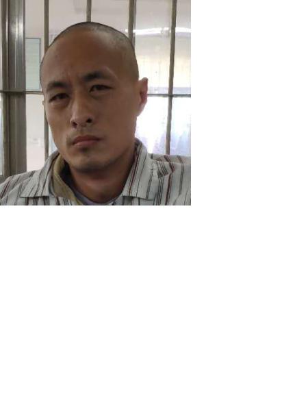 流浪人员I10照片，让爱回家