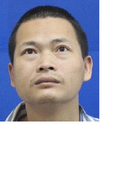 流浪人员衡救A237照片，让爱回家
