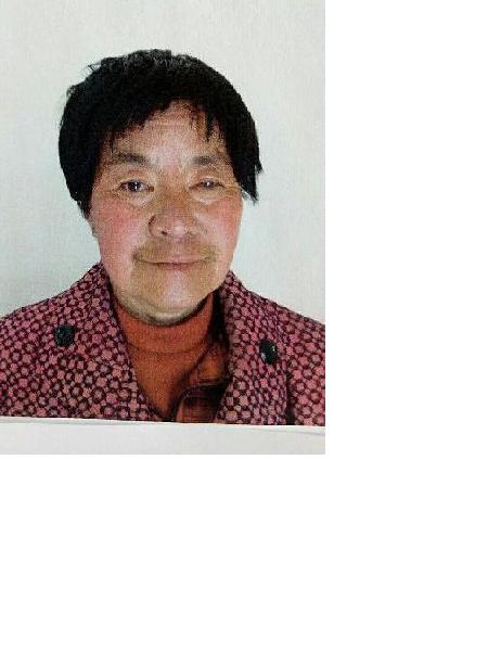 流浪人员丛丽华照片，让爱回家