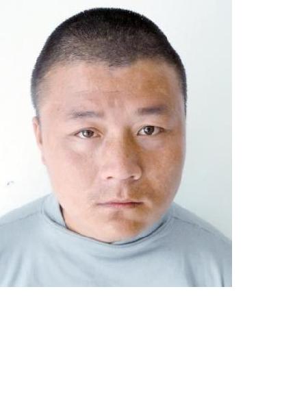 流浪人员弟选毛照片，让爱回家