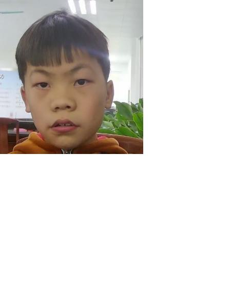 流浪人员不详照片，让爱回家