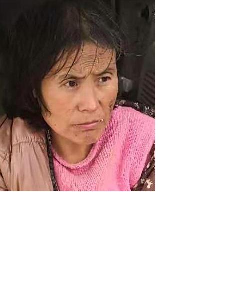 流浪人员无名氏（田桥）照片，让爱回家