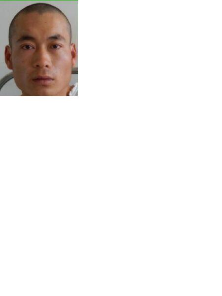 流浪人员4疗13 1261（寻亲）照片，让爱回家