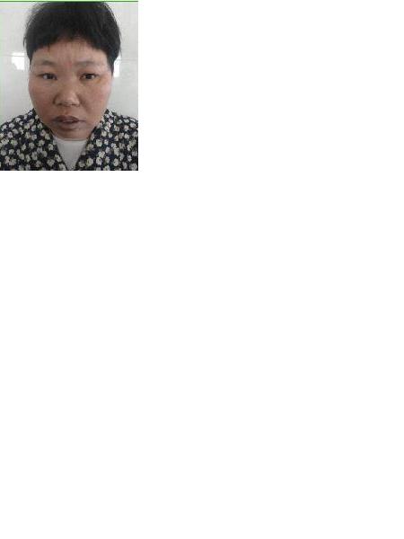 流浪人员哈萨（巡回女）照片，让爱回家