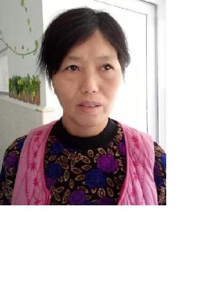 流浪人员州土地照片，让爱回家