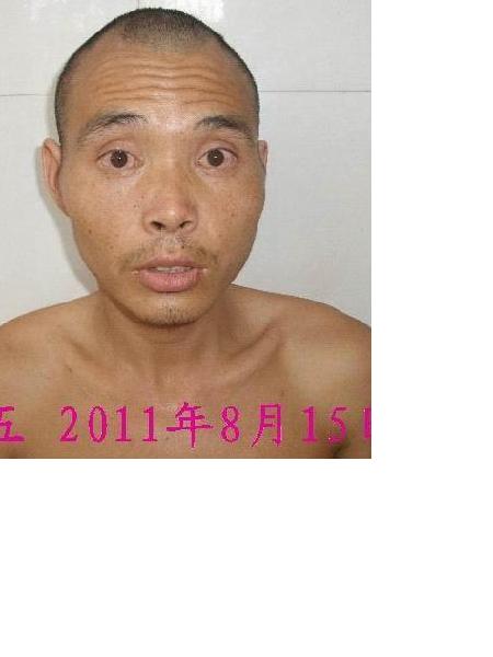 流浪人员州十五照片，让爱回家