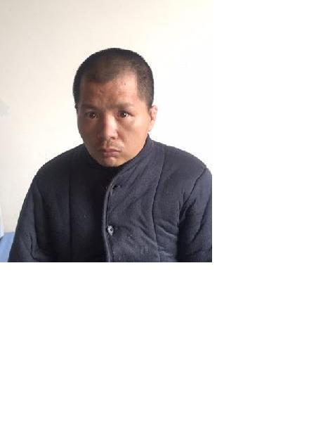 流浪人员不详照片，让爱回家
