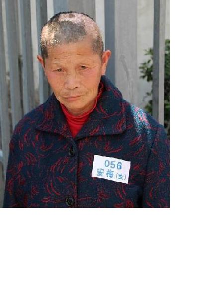 流浪人员安梅照片，让爱回家