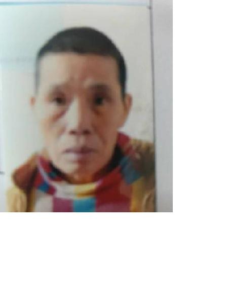 流浪人员大埔27照片，让爱回家