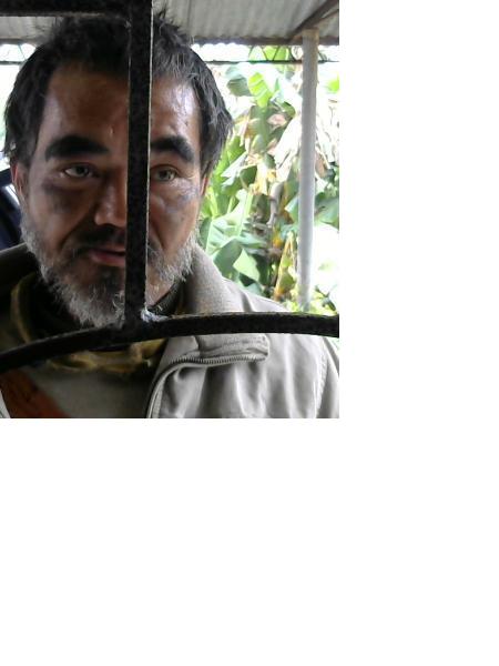 流浪人员无名氏照片，让爱回家