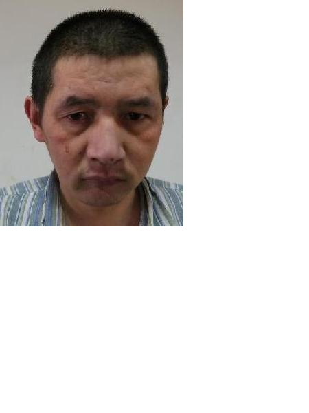 流浪人员姚梧桐照片，让爱回家