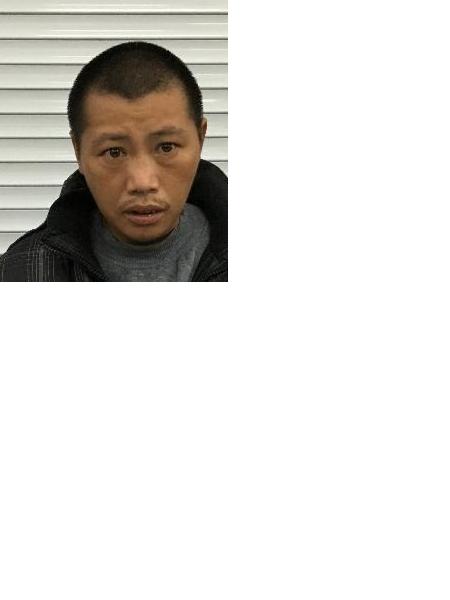 流浪人员无名224照片，让爱回家