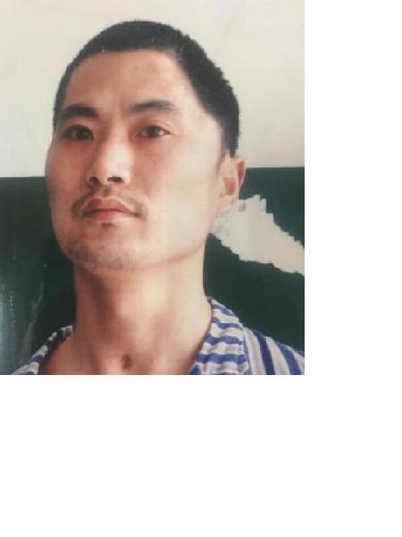流浪人员无名氏544照片，让爱回家