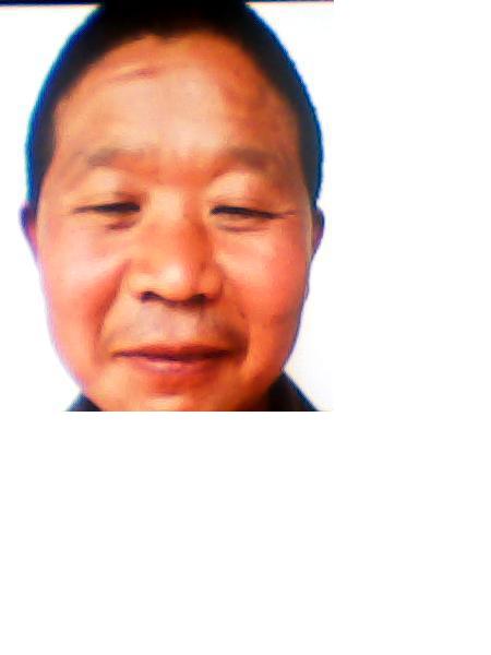 流浪人员向自由照片，让爱回家
