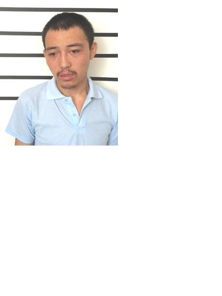 流浪人员无名氏照片，让爱回家