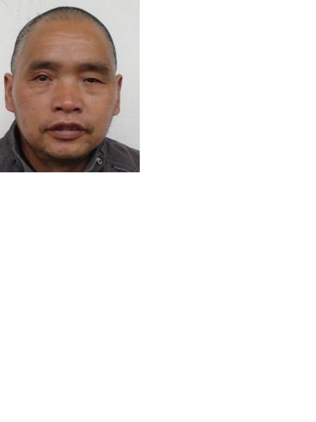 流浪人员无名氏26照片，让爱回家